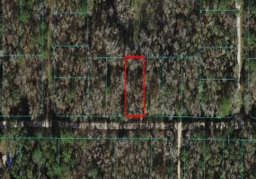 13TH PLACE, OCALA, Florida 34481, ,Land,For Sale,13TH,OM627017