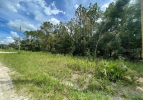00 16TH PLACE, OCALA, Florida 34481, ,Land,For Sale,16TH,OM627102