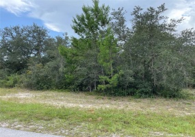 33RD COURT ROAD, OCALA, Florida 34473, ,Land,For Sale,33RD COURT,T3329644