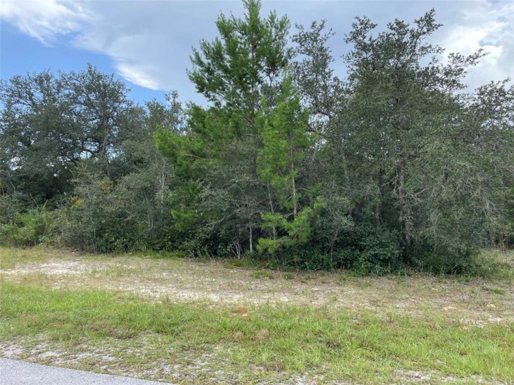 33RD COURT ROAD, OCALA, Florida 34473, ,Land,For Sale,33RD COURT,T3329644