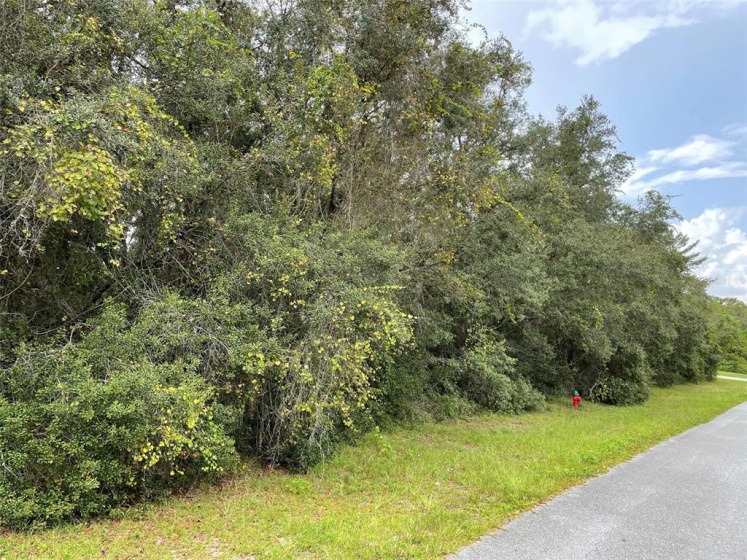 33RD COURT ROAD, OCALA, Florida 34473, ,Land,For Sale,33RD COURT,T3329644