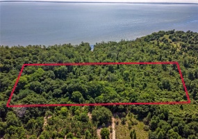 COUNTY ROAD 455, CLERMONT, Florida 34711, ,Land,For Sale,COUNTY ROAD 455,G5043101