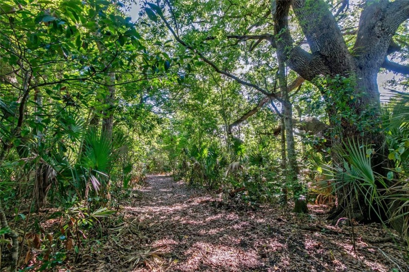 COUNTY ROAD 455, CLERMONT, Florida 34711, ,Land,For Sale,COUNTY ROAD 455,G5043101