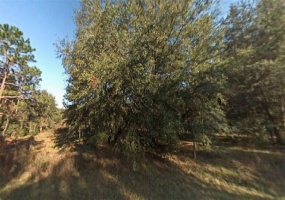 15150 16TH PLACE, OCALA, Florida 34481, ,Land,For Sale,16TH,O5972949