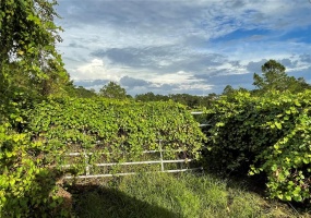 EDEN LANE, GROVELAND, Florida 34736, ,Land,For Sale,EDEN,G5046907