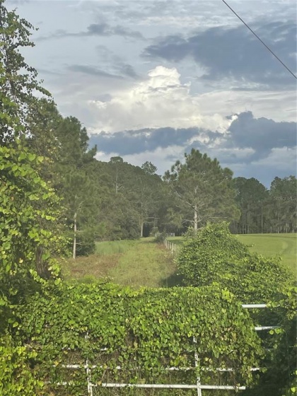 EDEN LANE, GROVELAND, Florida 34736, ,Land,For Sale,EDEN,G5046907