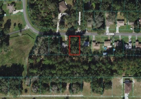 JUNIPER TRAIL, OCALA, Florida 34480, ,Land,For Sale,JUNIPER,OM627614