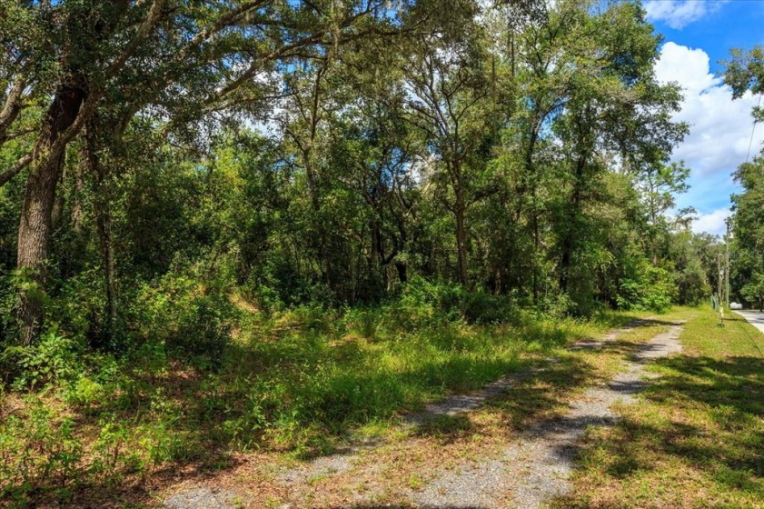 1595 VOTAW ROAD, APOPKA, Florida 32703, ,Land,For Sale,VOTAW,O5974956