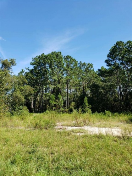 TBD 131ST PLACE, OCALA, Florida 34473, ,Land,For Sale,131ST,OM627679