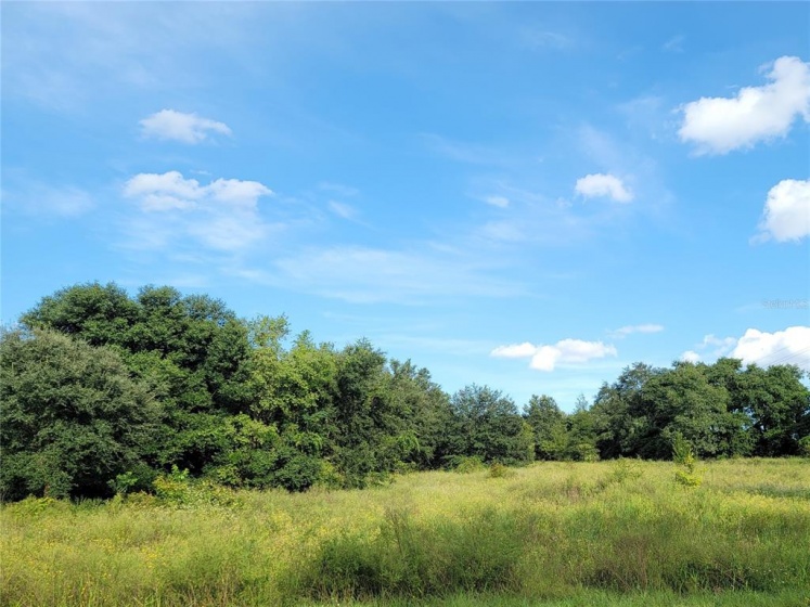 EARTH STAR LANE, GROVELAND, Florida 34736, ,Land,For Sale,EARTH STAR,G5047106