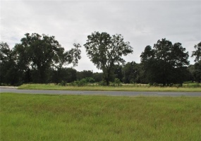 000 HWY 484, OCALA, Florida 34473, ,Land,For Sale,HWY 484,U8138017