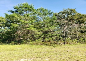 TBD 17TH CIRCLE, OCALA, Florida 34473, ,Land,For Sale,17TH,OM627768
