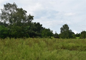 APSHAWA DRIVE, CLERMONT, Florida 34715, ,Land,For Sale,APSHAWA,S5057062