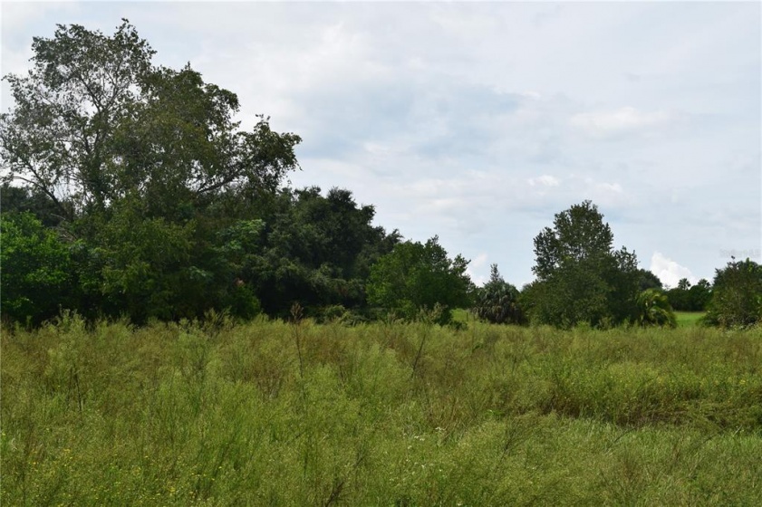 APSHAWA DRIVE, CLERMONT, Florida 34715, ,Land,For Sale,APSHAWA,S5057062