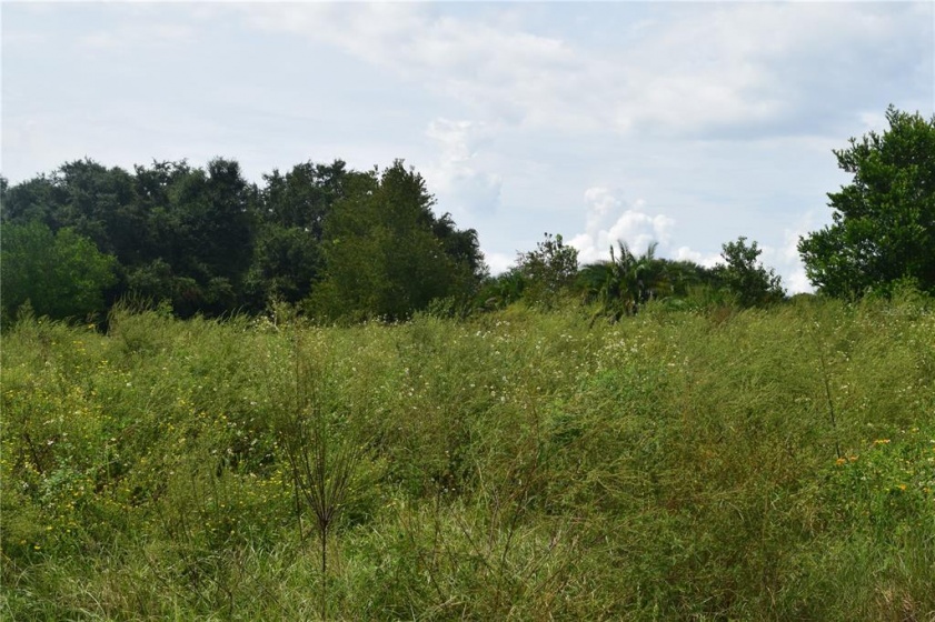APSHAWA DRIVE, CLERMONT, Florida 34715, ,Land,For Sale,APSHAWA,S5057062