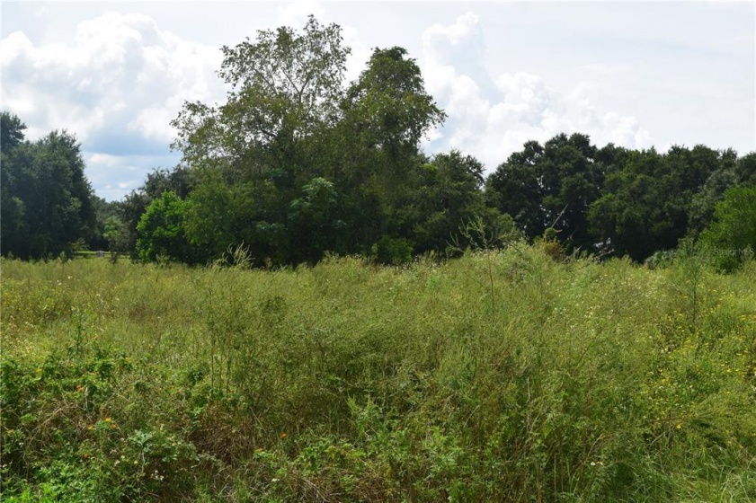 APSHAWA DRIVE, CLERMONT, Florida 34715, ,Land,For Sale,APSHAWA,S5057062
