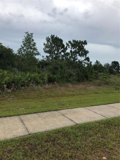GEORGETOWN COURT, SAINT CLOUD, Florida 34772, ,Land,For Sale,GEORGETOWN,O5976692