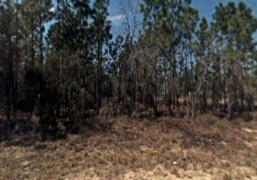 Lot 12 78TH CIRCLE, OCALA, Florida 34473, ,Land,For Sale,78TH,A4513955