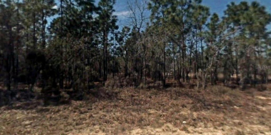 Lot 12 78TH CIRCLE, OCALA, Florida 34473, ,Land,For Sale,78TH,A4513955
