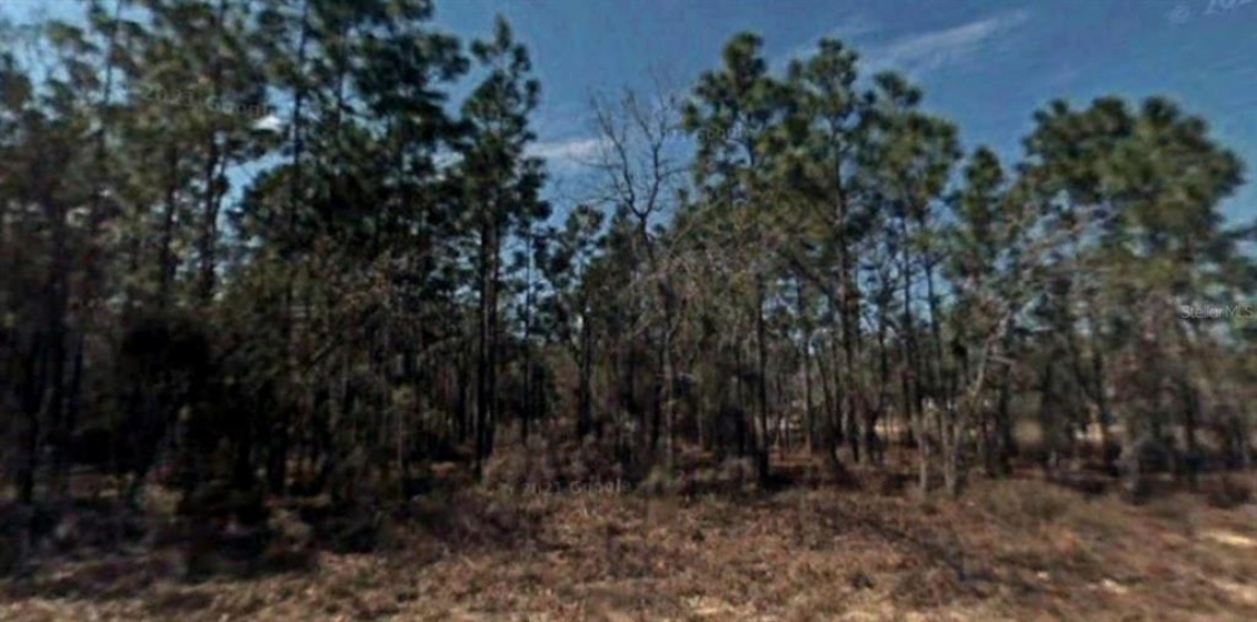 Lot 12 78TH CIRCLE, OCALA, Florida 34473, ,Land,For Sale,78TH,A4513955