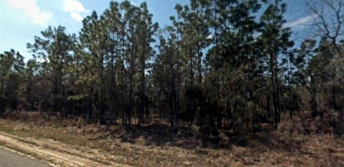 Lot 12 78TH CIRCLE, OCALA, Florida 34473, ,Land,For Sale,78TH,A4513955