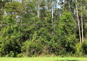 BRENTFORD AVENUE, ORLANDO, Florida 32833, ,Land,For Sale,BRENTFORD,A4514276
