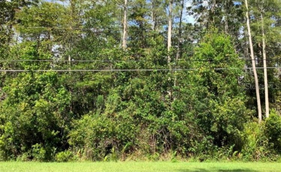 BRENTFORD AVENUE, ORLANDO, Florida 32833, ,Land,For Sale,BRENTFORD,A4514276