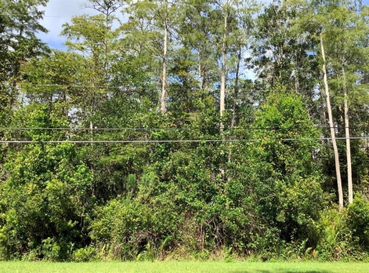 BRENTFORD AVENUE, ORLANDO, Florida 32833, ,Land,For Sale,BRENTFORD,A4514276