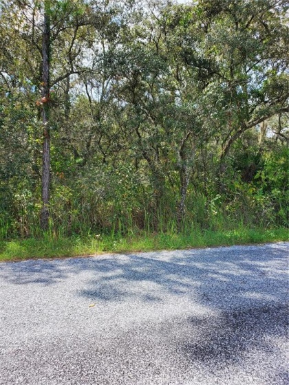 8600 KIOWA TRAIL, KISSIMMEE, Florida 34747, ,Land,For Sale,KIOWA,O5976821