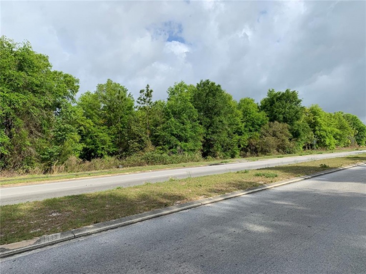 9440 114TH STREET, OCALA, Florida 34481, ,Land,For Sale,114TH,OM628474