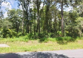 TBD 16TH STREET, OCALA, Florida 34474, ,Land,For Sale,16TH,O5979070