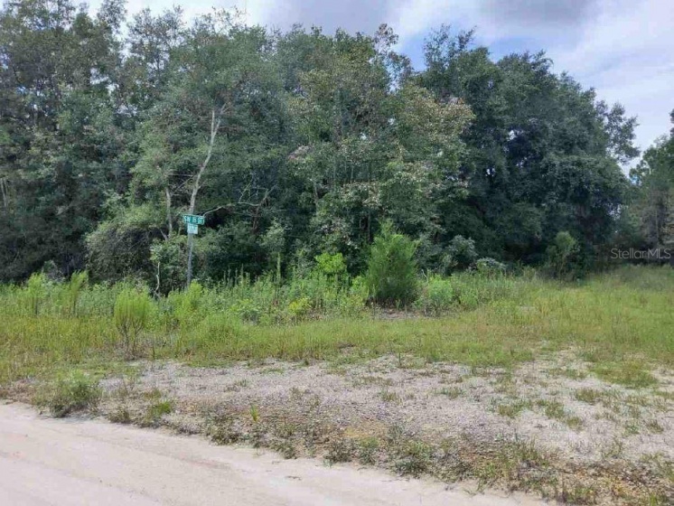 TBD 16TH PLACE, OCALA, Florida 34474, ,Land,For Sale,16TH,O5979072