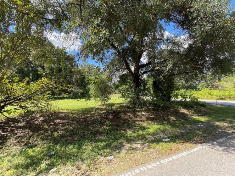 346 24TH AVENUE, OCALA, Florida 34475, ,Land,For Sale,24TH,OM628597