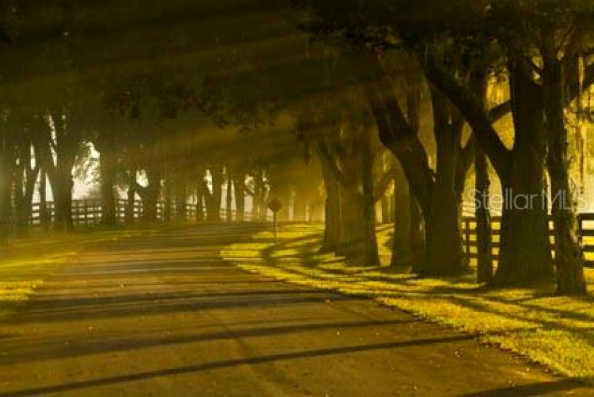 tbd 15TH CIRCLE, OCALA, Florida 34480, ,Land,For Sale,15TH,OM628802