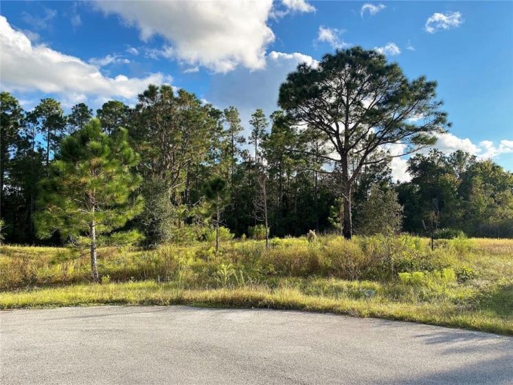 1717 SEABASS LANE, POINCIANA, Florida 34759, ,Land,For Sale,SEABASS,O5979915