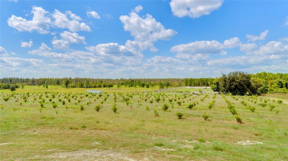 11220 DWIGHTS ROAD, CLERMONT, Florida 34714, ,Land,For Sale,DWIGHTS,G5047287