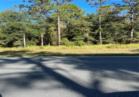 W HIGHWAY 40, OCALA, Florida 34481, ,Land,For Sale,W HIGHWAY 40,S5057894