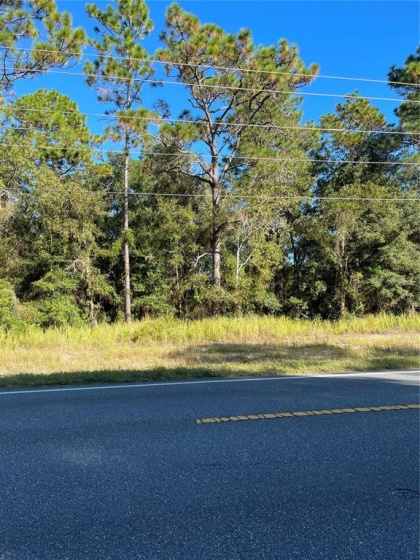 W HIGHWAY 40, OCALA, Florida 34481, ,Land,For Sale,W HIGHWAY 40,S5057894
