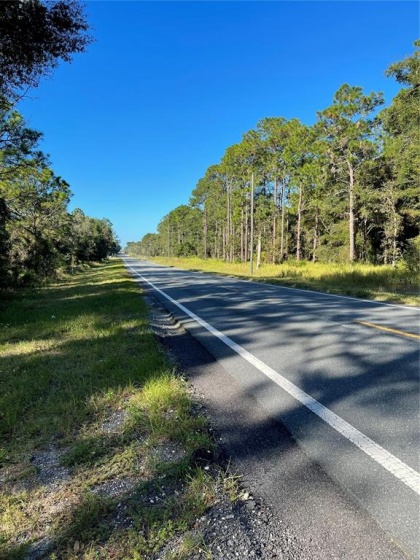 W HIGHWAY 40, OCALA, Florida 34481, ,Land,For Sale,W HIGHWAY 40,S5057894