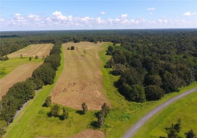 0 116 PLACE, OCALA, Florida 34480, ,Land,For Sale,116,OM628716