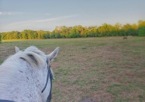30TH AVENUE, OCALA, Florida 34482, ,Land,For Sale,30TH,OM628914