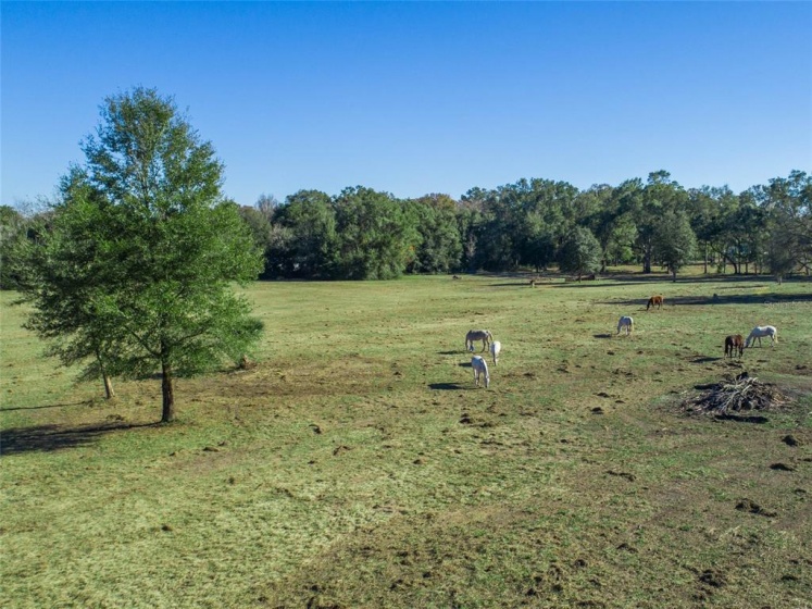 30TH AVENUE, OCALA, Florida 34475, ,Land,For Sale,30TH,OM628915