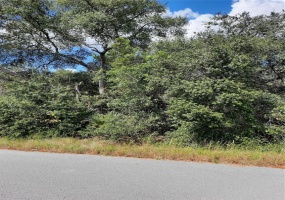 OLIVE PL, OCALA, Florida 34472, ,Land,For Sale,OLIVE PL,OM628939