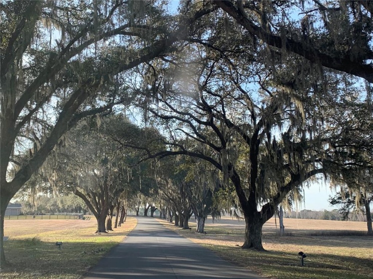 Via Paradisus 15TH CIRCLE, OCALA, Florida 34480, ,Land,For Sale,15TH,OM628931