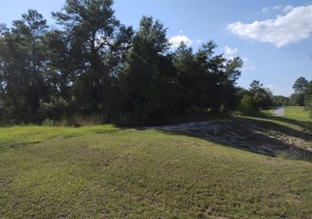 0 148TH PLACE ROAD, OCALA, Florida 34473, ,Land,For Sale,148TH PLACE,OM629035