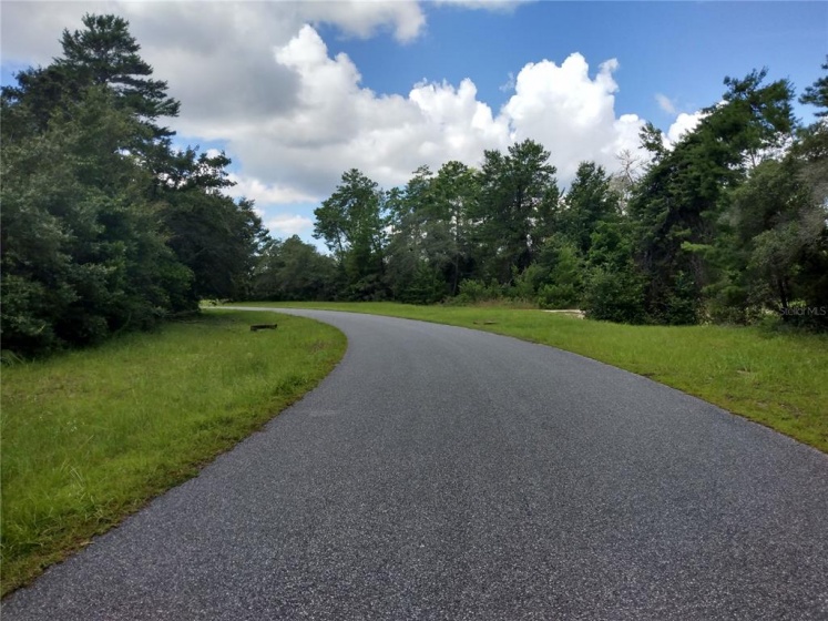 0 148TH PLACE ROAD, OCALA, Florida 34473, ,Land,For Sale,148TH PLACE,OM629035