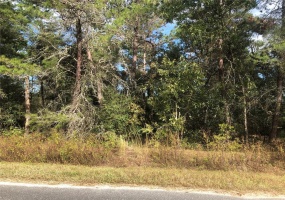 Lot 20 106TH STREET, OCALA, Florida 34476, ,Land,For Sale,106TH,OM629062