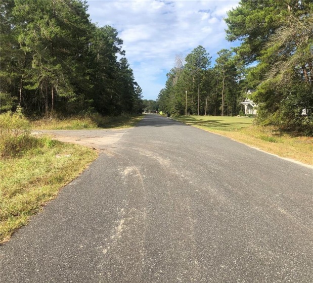 Lot 20 106TH STREET, OCALA, Florida 34476, ,Land,For Sale,106TH,OM629062