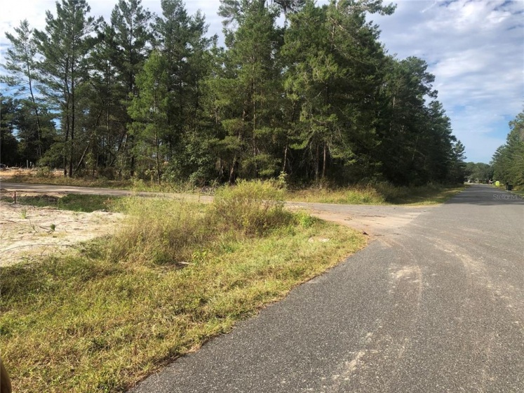 Lot 20 106TH STREET, OCALA, Florida 34476, ,Land,For Sale,106TH,OM629062