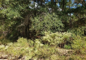 Lot 7 159TH COURT, OCALA, Florida 34481, ,Land,For Sale,159TH,O5980435